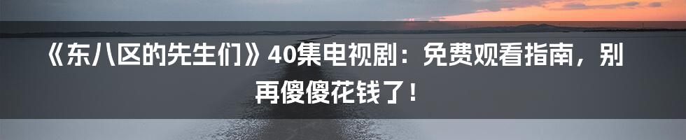《东八区的先生们》40集电视剧:免费观看指南,别再傻傻花钱了!