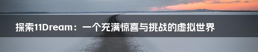 探索11Dream:一个充满惊喜与挑战的虚拟世界