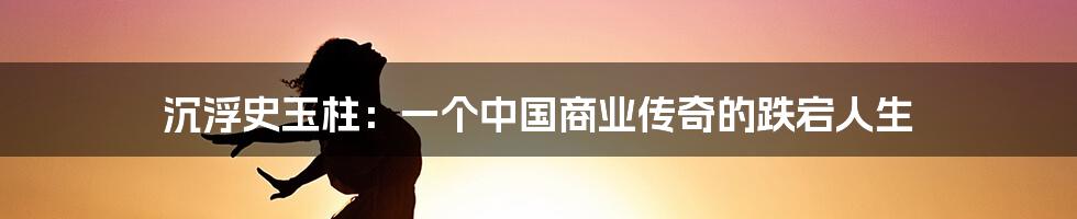 沉浮史玉柱:一个中国商业传奇的跌宕人生