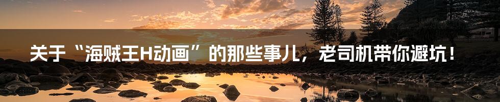 关于“海贼王H动画”的那些事儿，老司机带你避坑！