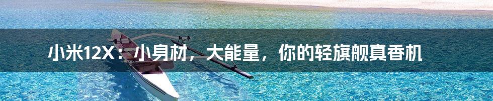 小米12X:小身材,大能量,你的轻旗舰真香机