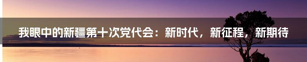 我眼中的新疆第十次党代会:新时代,新征程,新期待