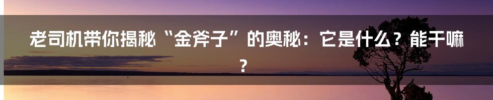 老司机带你揭秘“金斧子”的奥秘:它是什么?能干嘛?