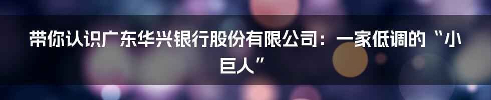带你认识广东华兴银行股份有限公司:一家低调的“小巨人”