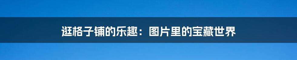 逛格子铺的乐趣：图片里的宝藏世界