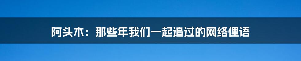 阿头木:那些年我们一起追过的网络俚语