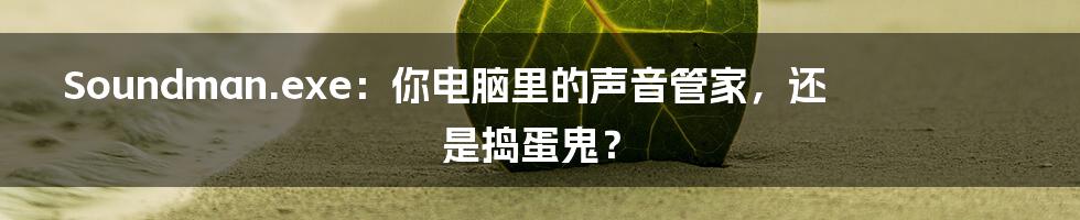 Soundman.exe:你电脑里的声音管家,还是捣蛋鬼?
