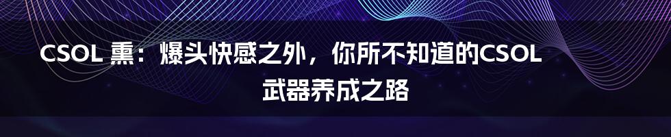 CSOL 熏:爆头快感之外,你所不知道的CSOL武器养成之路