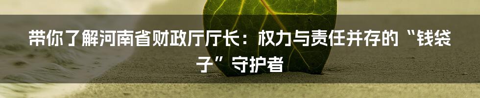 带你了解河南省财政厅厅长：权力与责任并存的“钱袋子”守护者