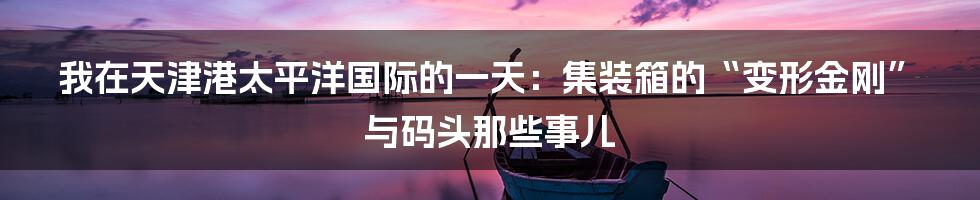 我在天津港太平洋国际的一天:集装箱的“变形金刚”与码头那些事儿