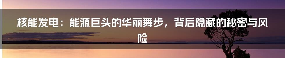 核能发电：能源巨头的华丽舞步，背后隐藏的秘密与风险