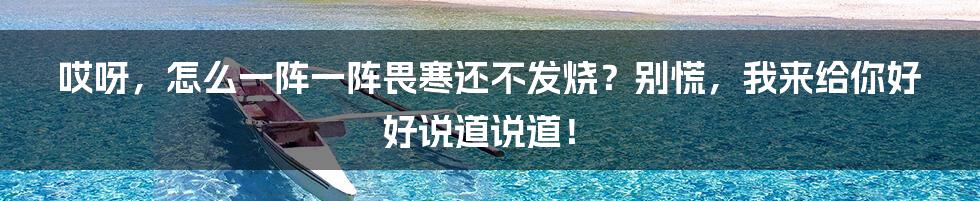 哎呀,怎么一阵一阵畏寒还不发烧?别慌,我来给你好好说道说道!
