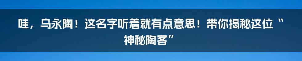 哇,乌永陶!这名字听着就有点意思!带你揭秘这位“神秘陶客”