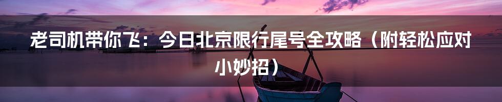 老司机带你飞:今日北京限行尾号全攻略(附轻松应对小妙招)