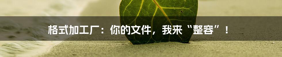 格式加工厂:你的文件,我来“整容”!
