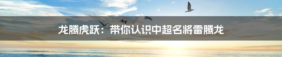 龙腾虎跃:带你认识中超名将雷腾龙