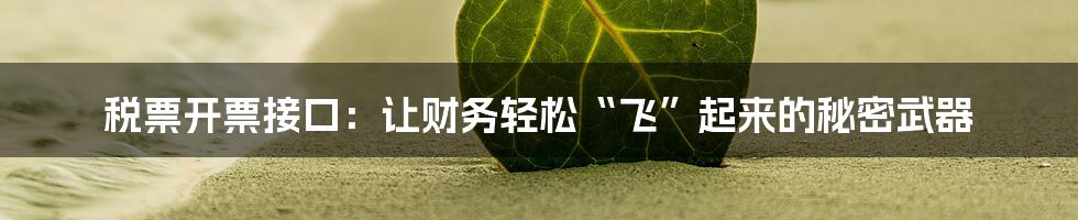 税票开票接口:让财务轻松“飞”起来的秘密武器
