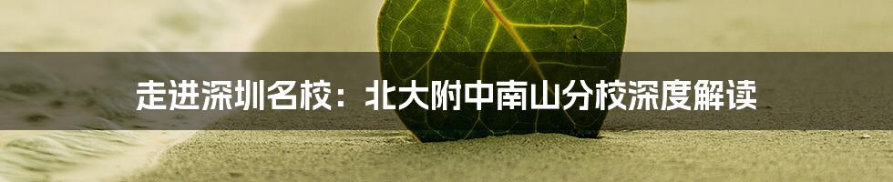 走进深圳名校：北大附中南山分校深度解读