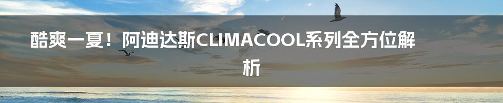 酷爽一夏！阿迪达斯CLIMACOOL系列全方位解析