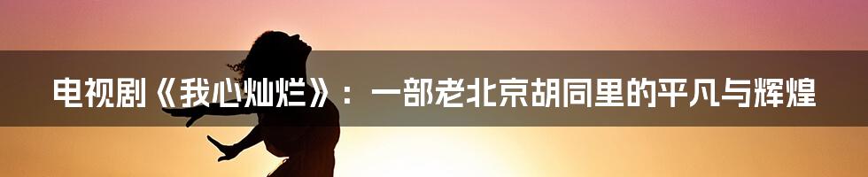 电视剧《我心灿烂》:一部老北京胡同里的平凡与辉煌