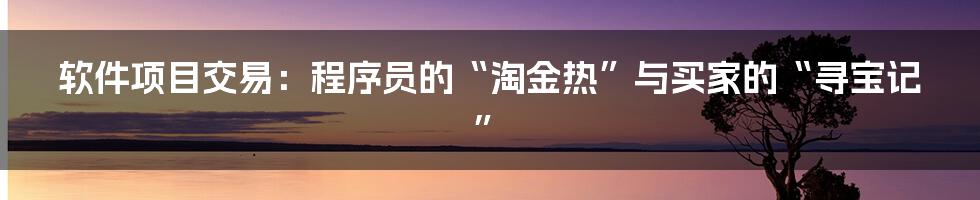 软件项目交易:程序员的“淘金热”与买家的“寻宝记”