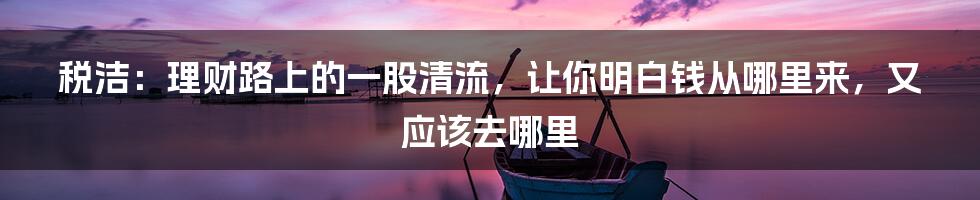 税洁:理财路上的一股清流,让你明白钱从哪里来,又应该去哪里