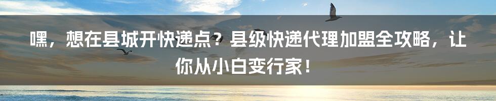 嘿,想在县城开快递点?县级快递代理加盟全攻略,让你从小白变行家!