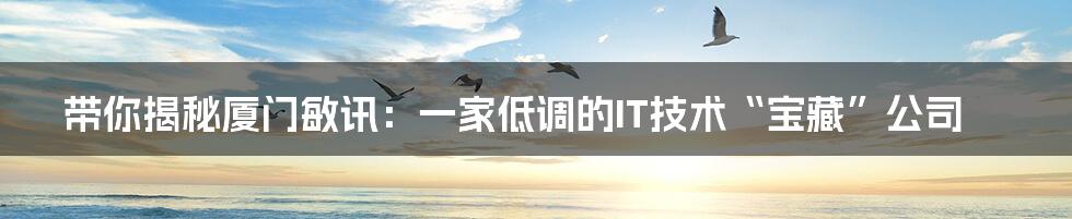 带你揭秘厦门敏讯:一家低调的IT技术“宝藏”公司