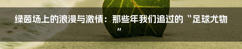 绿茵场上的浪漫与激情：那些年我们追过的“足球尤物”
