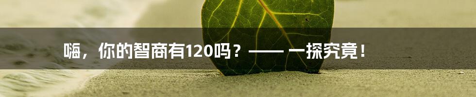 嗨，你的智商有120吗？—— 一探究竟！