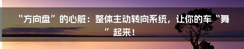 “方向盘”的心脏：整体主动转向系统，让你的车“舞”起来！