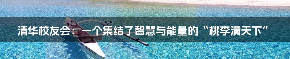 清华校友会:一个集结了智慧与能量的“桃李满天下”