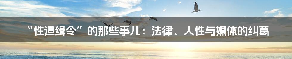 “性追缉令”的那些事儿:法律、人性与媒体的纠葛