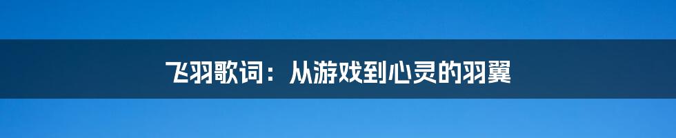 飞羽歌词:从游戏到心灵的羽翼