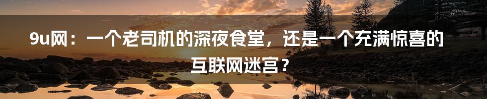 9u网:一个老司机的深夜食堂,还是一个充满惊喜的互联网迷宫?
