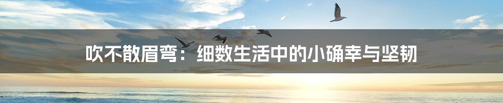 吹不散眉弯:细数生活中的小确幸与坚韧