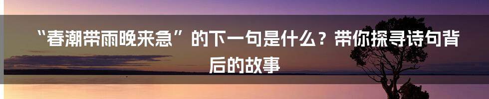“春潮带雨晚来急”的下一句是什么？带你探寻诗句背后的故事