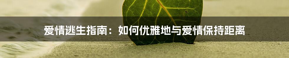 爱情逃生指南：如何优雅地与爱情保持距离