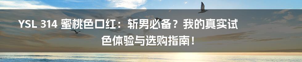 YSL 314 蜜桃色口红:斩男必备?我的真实试色体验与选购指南!