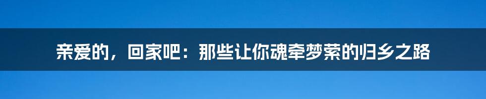 亲爱的，回家吧：那些让你魂牵梦萦的归乡之路