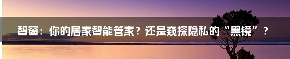 智窗:你的居家智能管家?还是窥探隐私的“黑镜”?