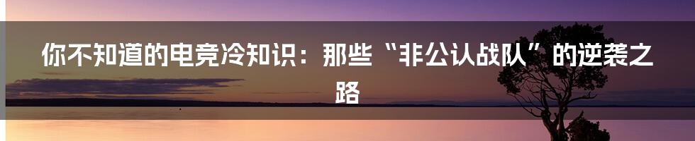 你不知道的电竞冷知识:那些“非公认战队”的逆袭之路