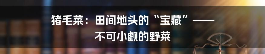 猪毛菜:田间地头的“宝藏”—— 不可小觑的野菜