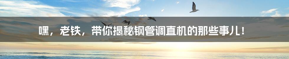 嘿,老铁,带你揭秘钢管调直机的那些事儿!