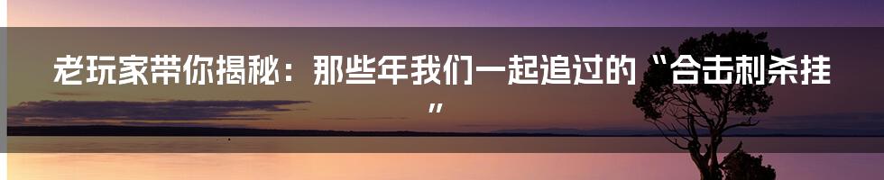 老玩家带你揭秘：那些年我们一起追过的“合击刺杀挂”