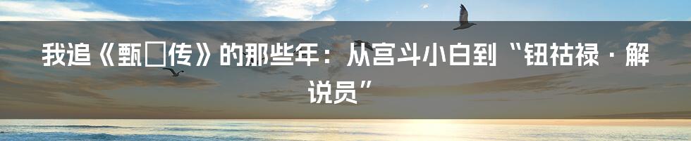 我追《甄嬛传》的那些年:从宫斗小白到“钮祜禄·解说员”