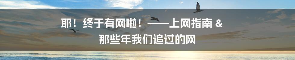 耶！终于有网啦！——上网指南 & 那些年我们追过的网