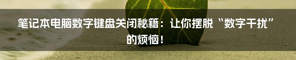 笔记本电脑数字键盘关闭秘籍:让你摆脱“数字干扰”的烦恼!