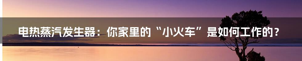电热蒸汽发生器:你家里的“小火车”是如何工作的?