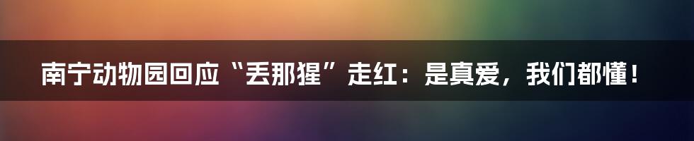 南宁动物园回应“丢那猩”走红：是真爱，我们都懂！